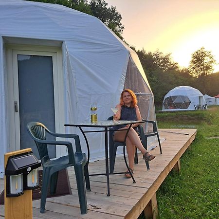 Forest Glamping Braşov Exteriör bild