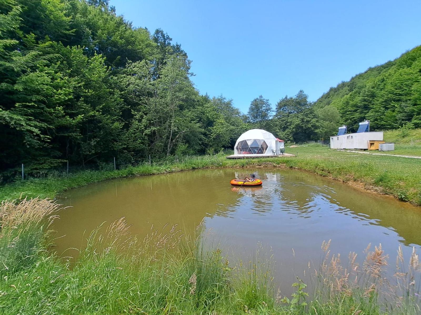 Forest Glamping Braşov Exteriör bild