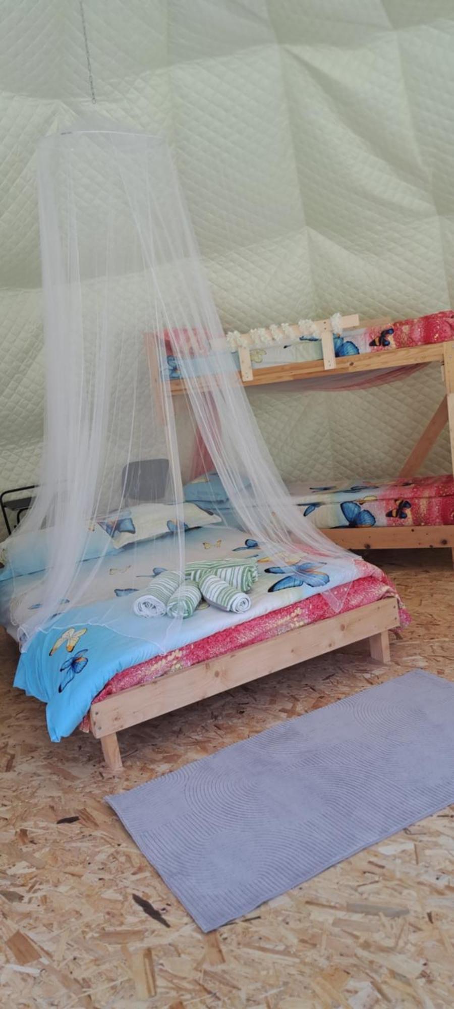 Forest Glamping Braşov Exteriör bild