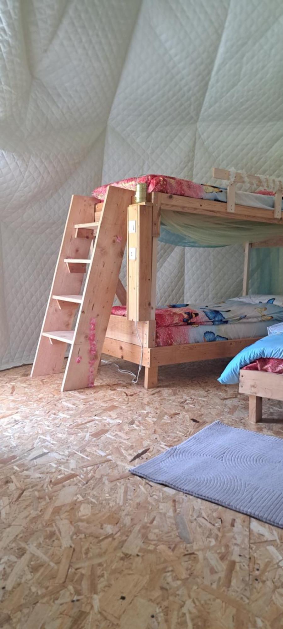 Forest Glamping Braşov Exteriör bild