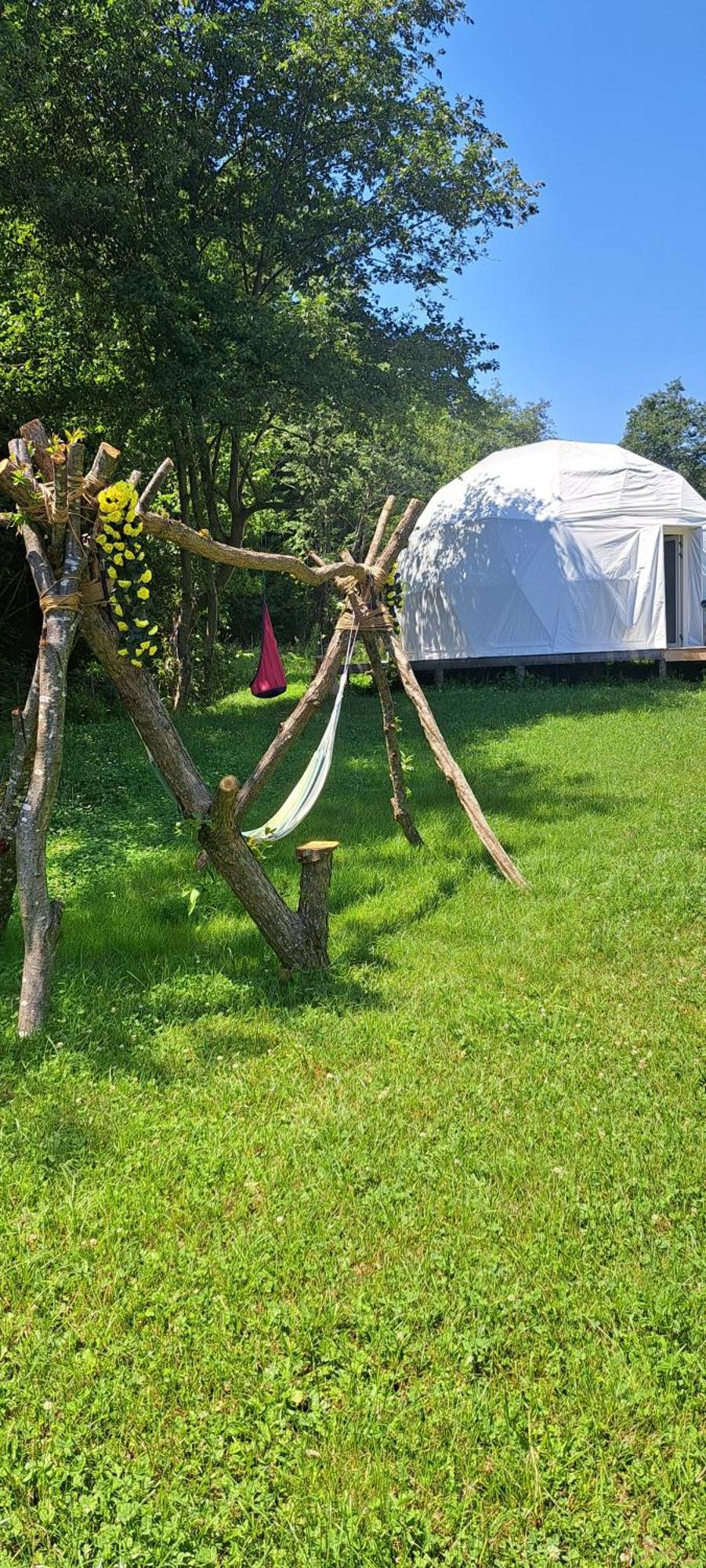 Forest Glamping Braşov Exteriör bild
