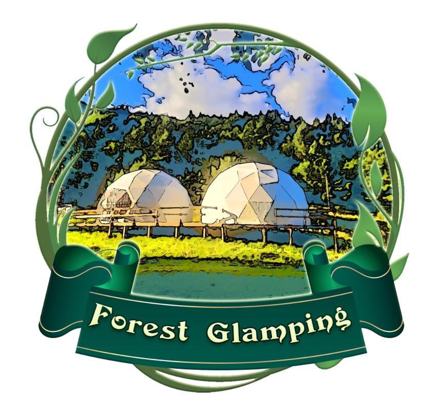 Forest Glamping Braşov Exteriör bild