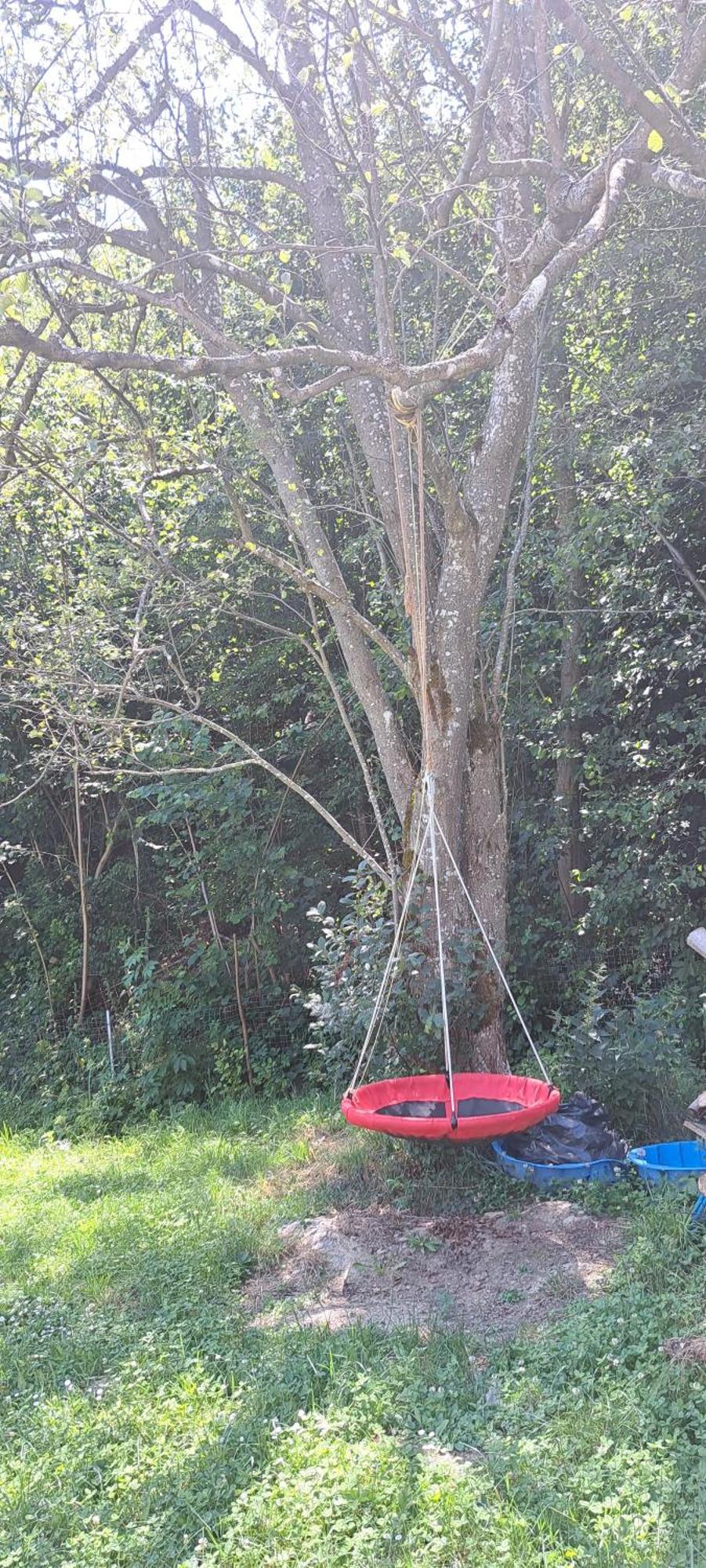 Forest Glamping Braşov Exteriör bild