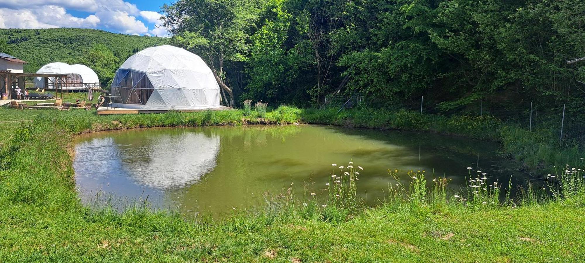 Forest Glamping Braşov Exteriör bild