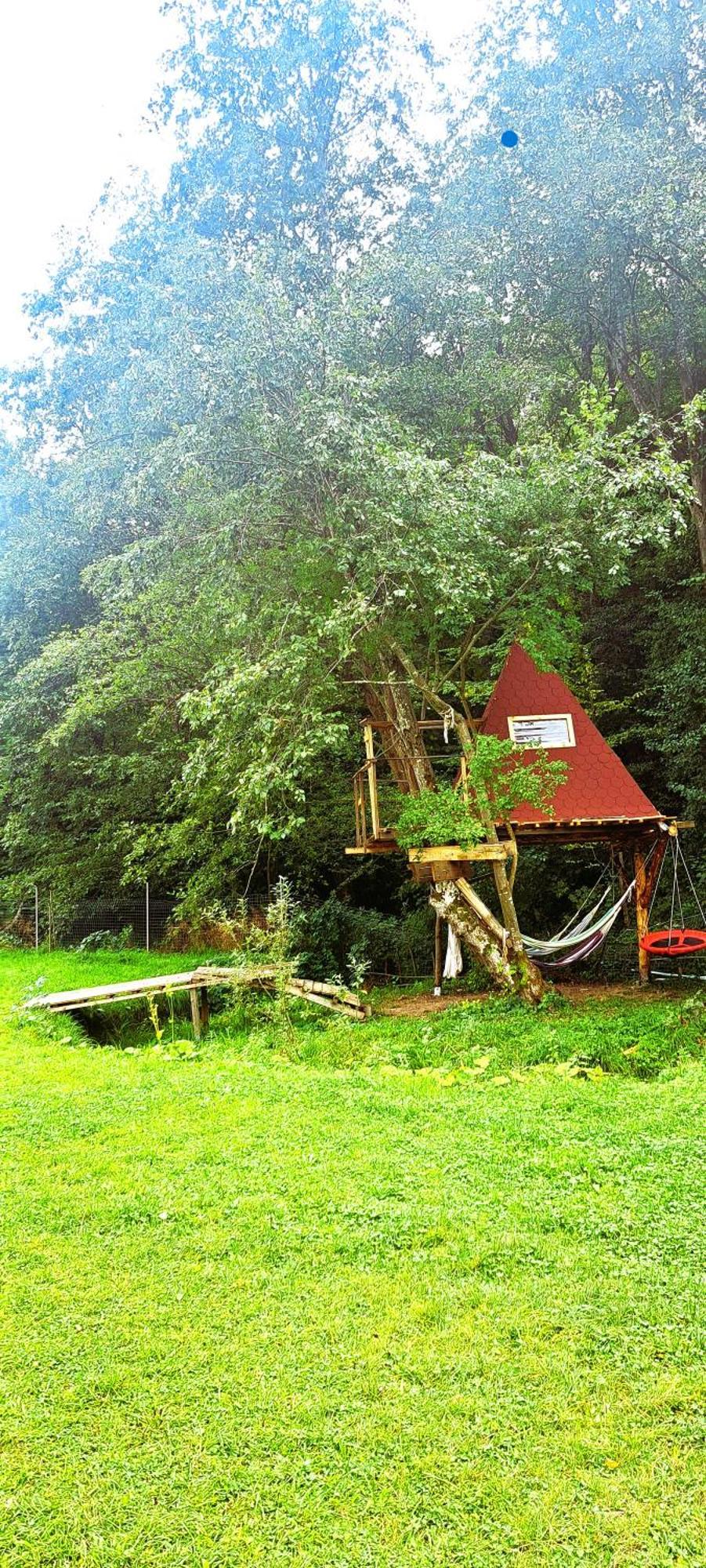 Forest Glamping Braşov Exteriör bild