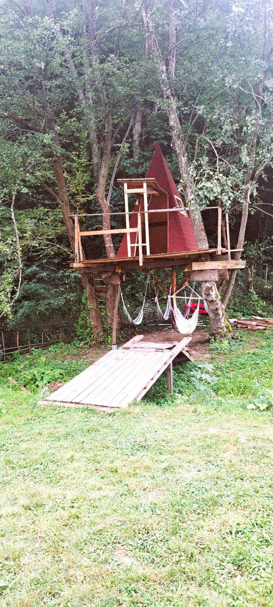 Forest Glamping Braşov Exteriör bild